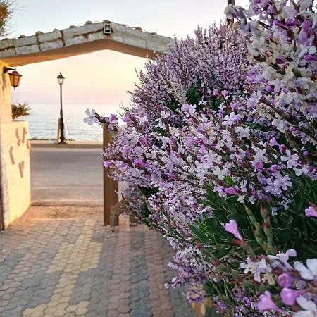 Georgia Seaside 別荘 *